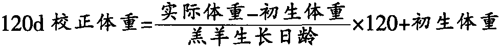 五、羔羊斷奶個體鑒定標準